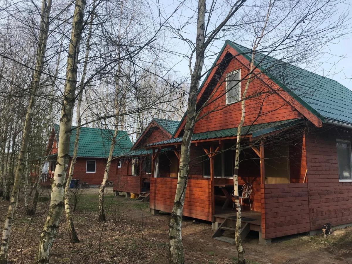 Domki na łowisku Admar w Dąbiu Lubuskim - B&B