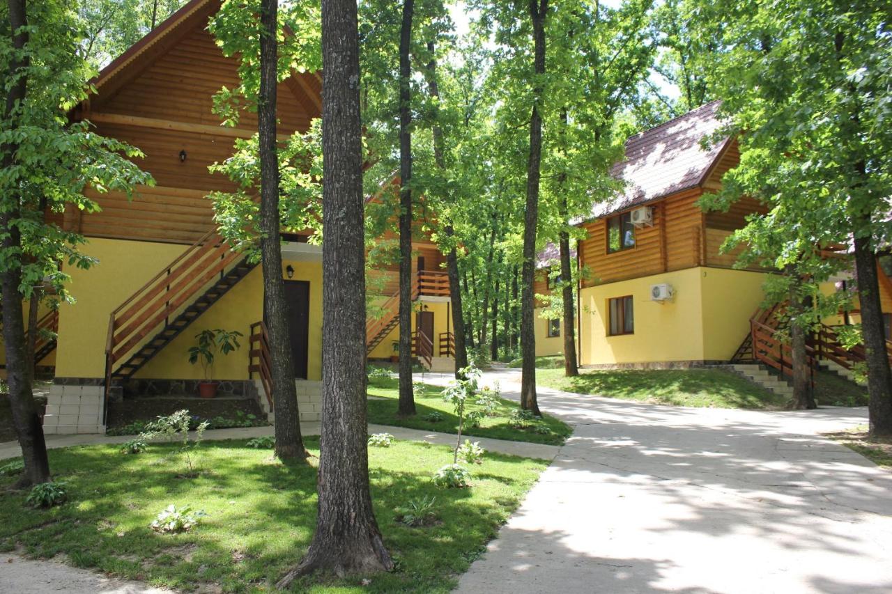 B&B Lomatchyntsi - Вілія - Bed and Breakfast Lomatchyntsi