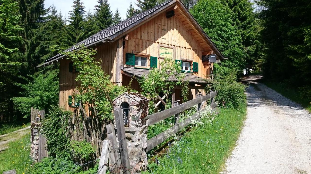 Knödl-Alm Waldhäusl - B&B