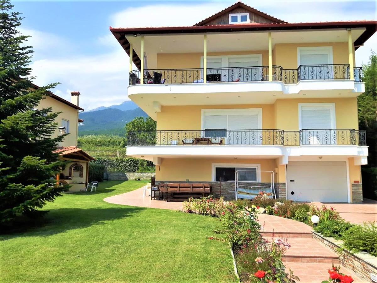 Apartment Achilles - B&B Litochoro