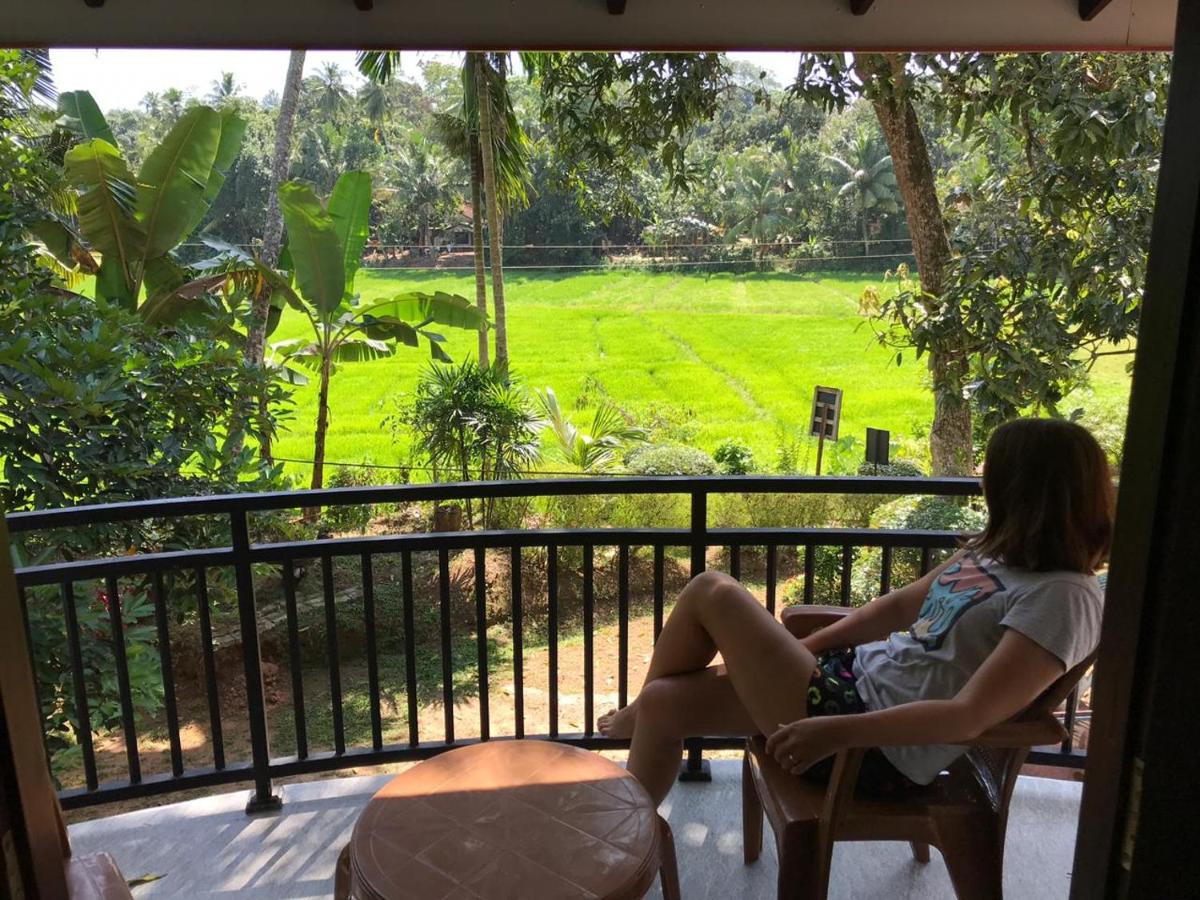 Paddy Field Villa Midigama - B&B Midigama