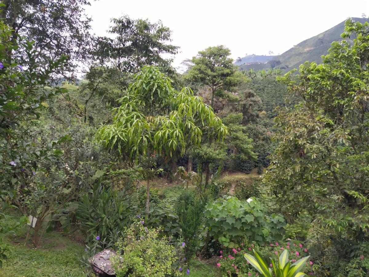 Hacienda Guayabal - B&B
