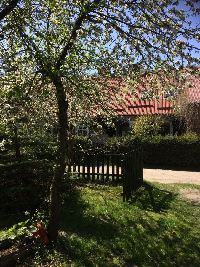 Satnatorium - B&B