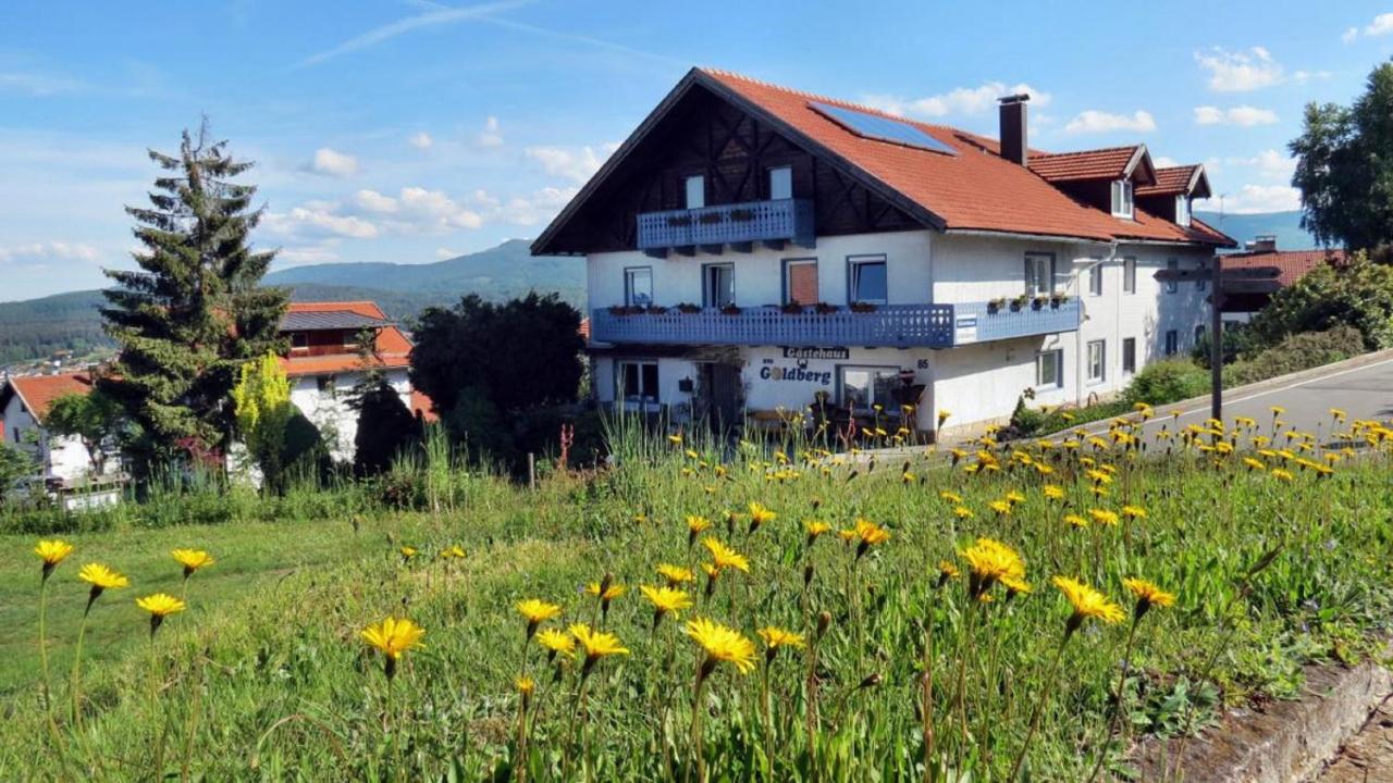 B&B Riedlhütte - Gästehaus am Goldberg - Bed and Breakfast Riedlhütte