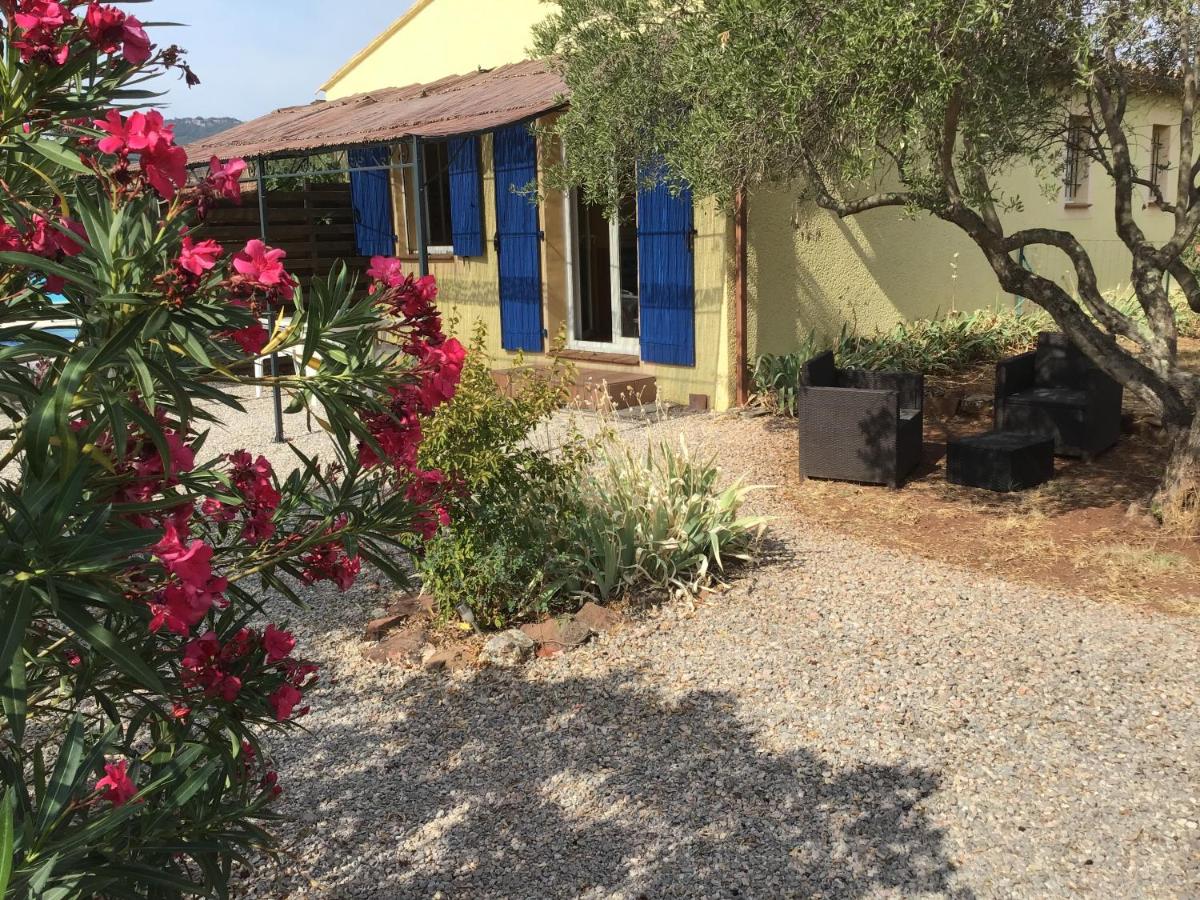 Gite des oliviers - B&B