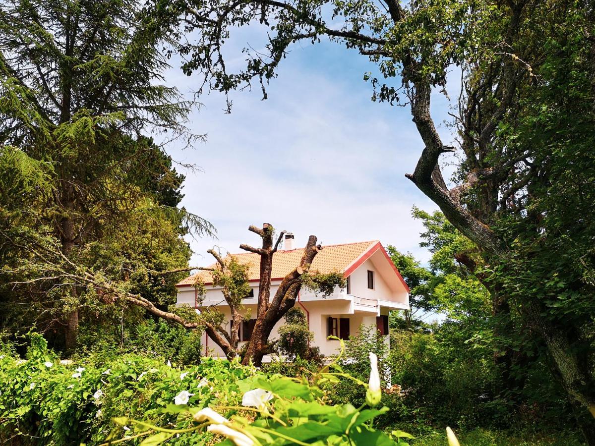 Locanda SottoBosco - B&B San Leonardo