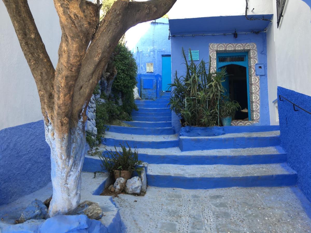 Camera Tripla Blue
