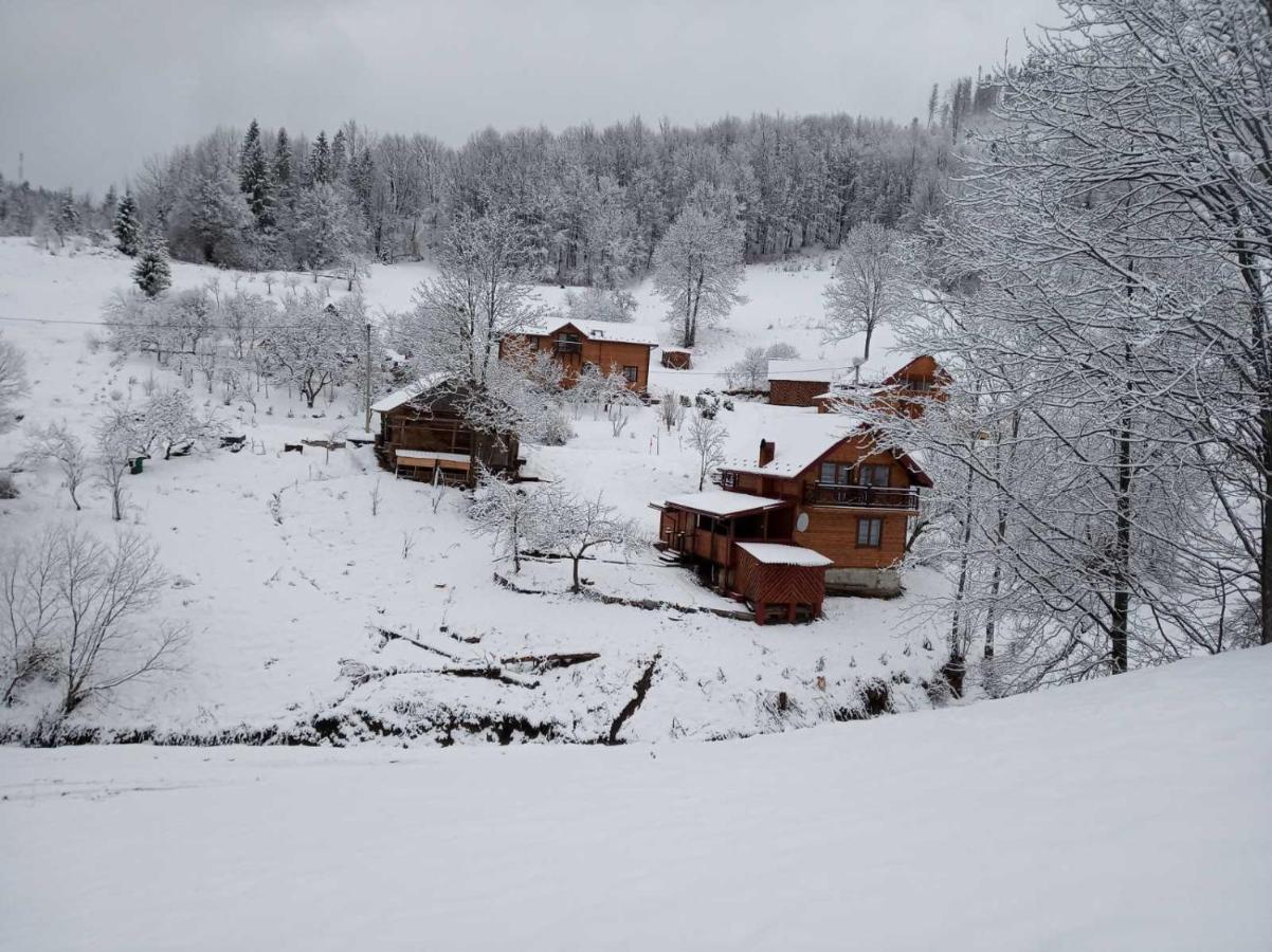 Casa Vacanze