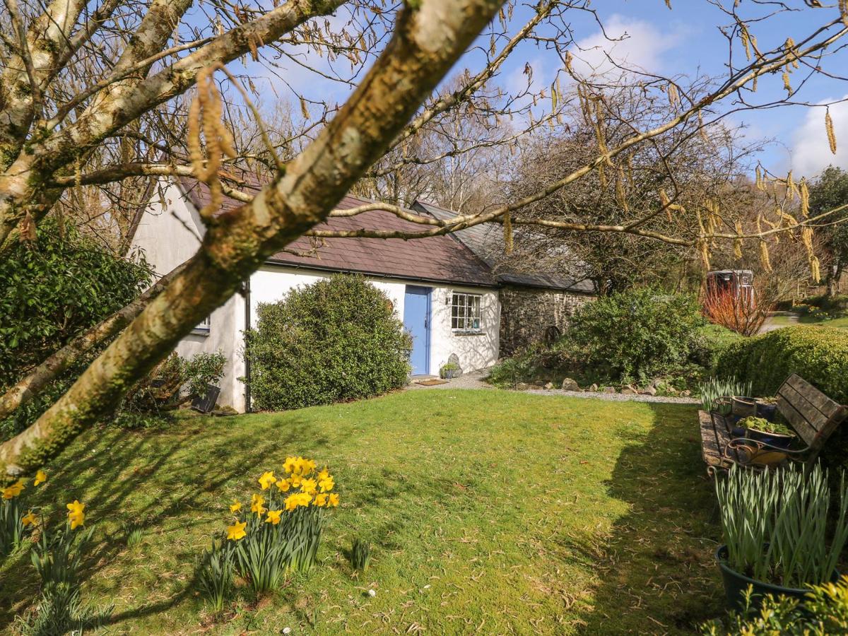 B&B Llandysul - Hawthorn Cottage - Bed and Breakfast Llandysul