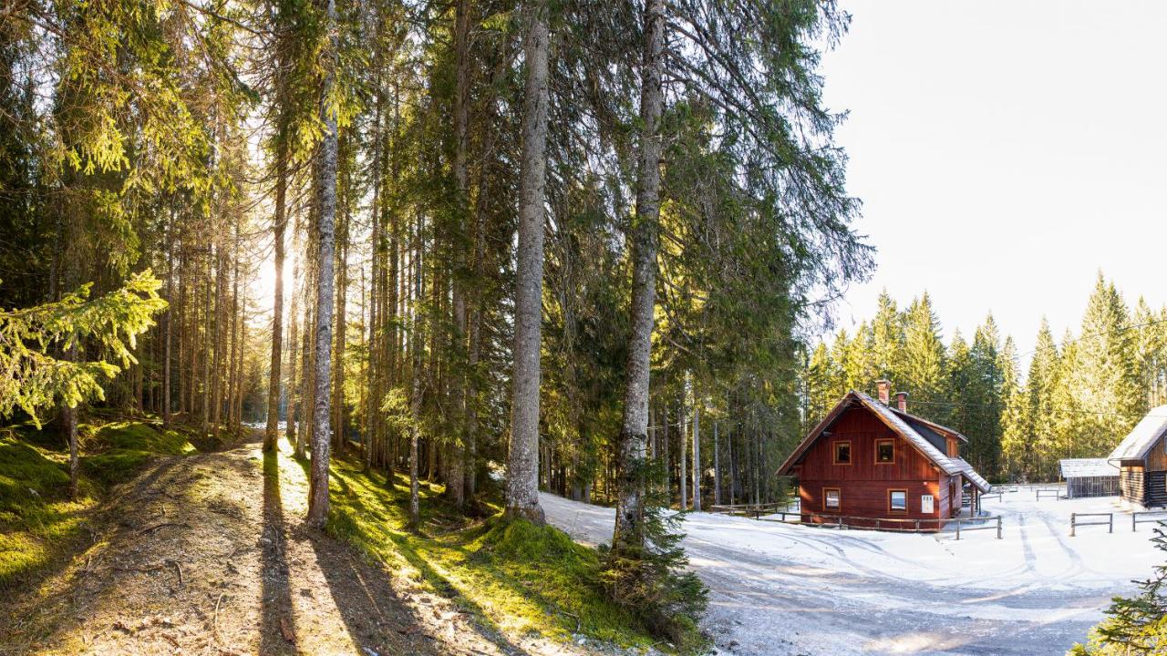 Digital Detox Chalet Pokljuka - Chambres d’hôtes