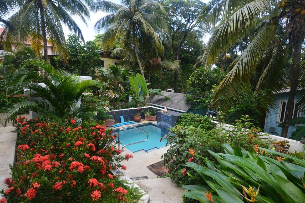 Double Room with Pool View