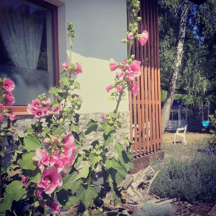 Chambre Familiale avec Terrasse 
