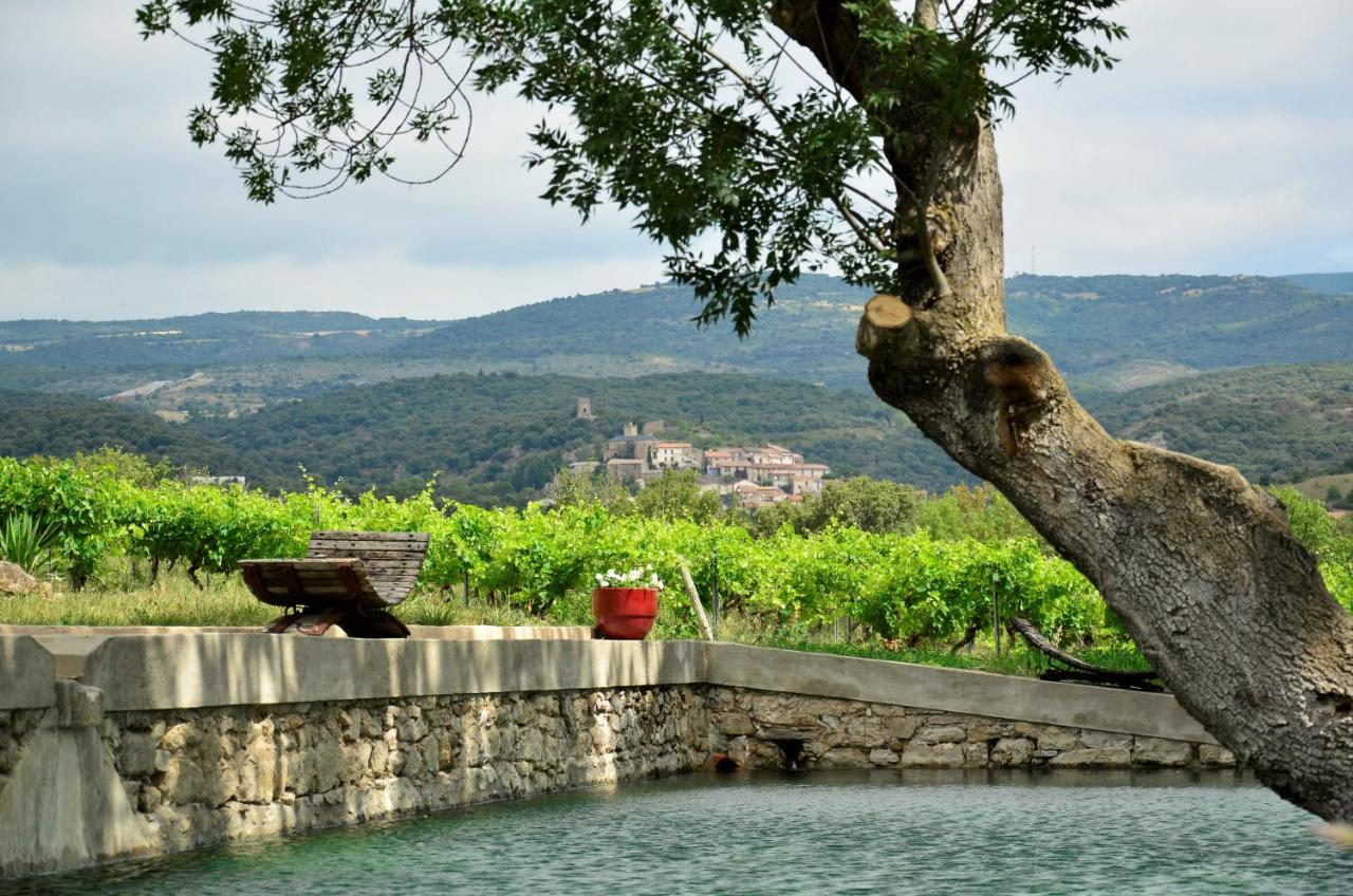 B&B Sallèles-Cabardès - Château La Villatade - Bed and Breakfast Sallèles-Cabardès