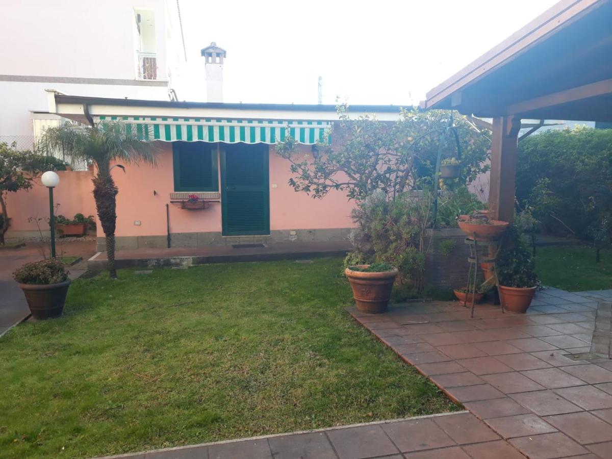 B&B Anzio - Il Cedro - Bed and Breakfast Anzio