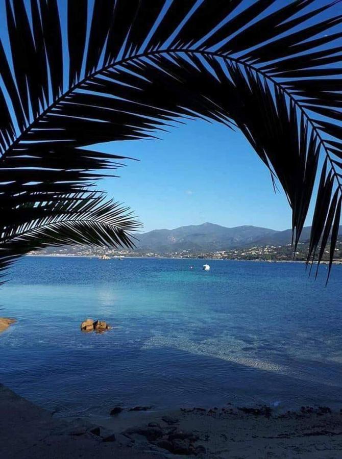 APPARTEMENT T2 IMPERIAL - Chambres d’hôtes Ajaccio