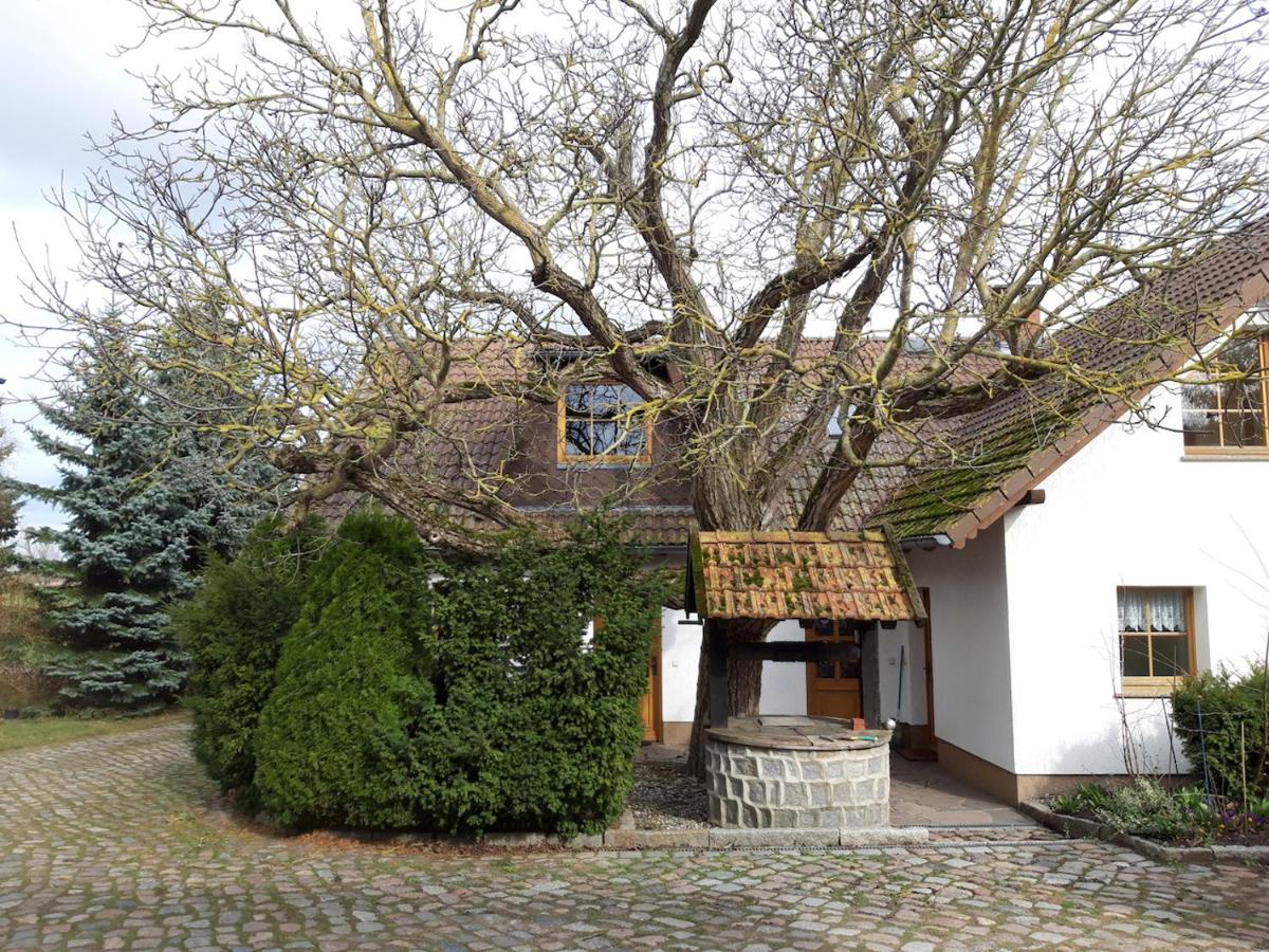 B&B Schönfeld - Ein Bett im Kornfeld - Haus Weitblick - mit Innenpool - Bed and Breakfast Schönfeld