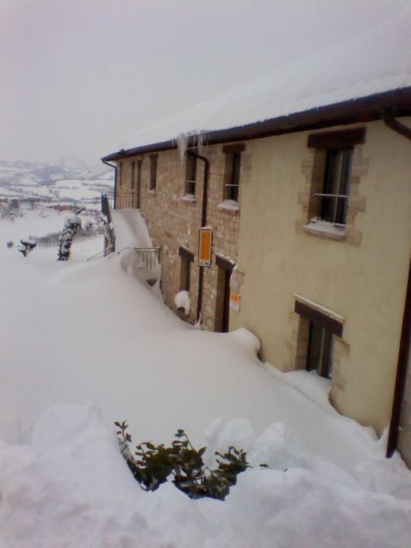 Villa Colticciola Agriturismo Marche - Ferienwohnung Cagli