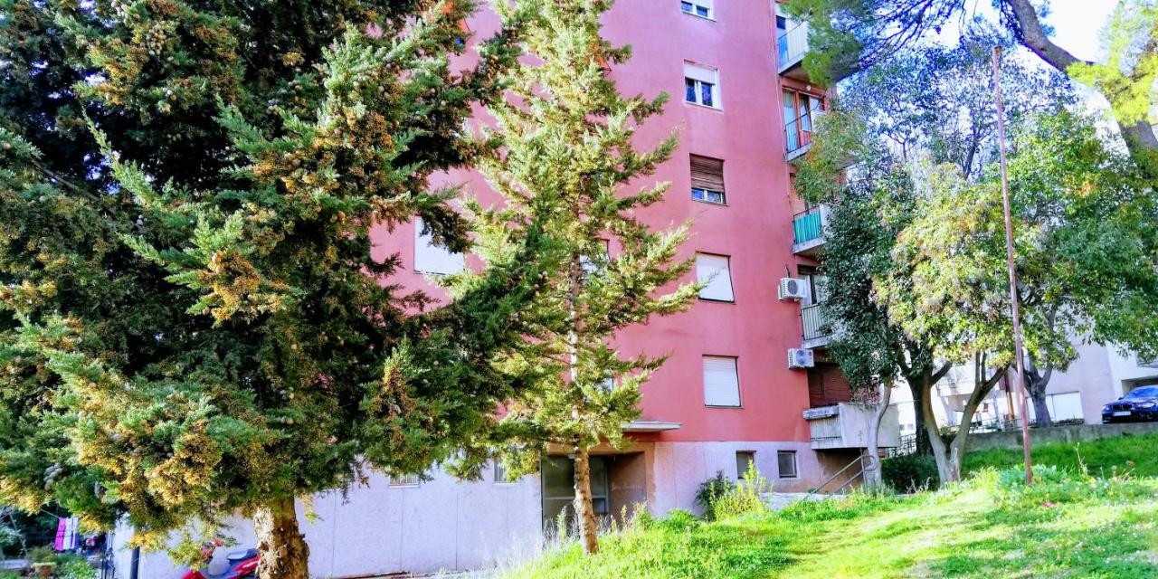 Pula Center Green Park Apartments and Rooms - B&B