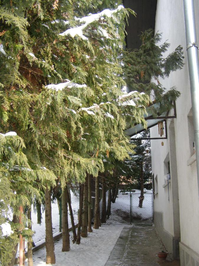 One-Bedroom Apartment with Terrace