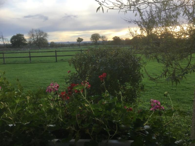 La Bretonniere - B&B