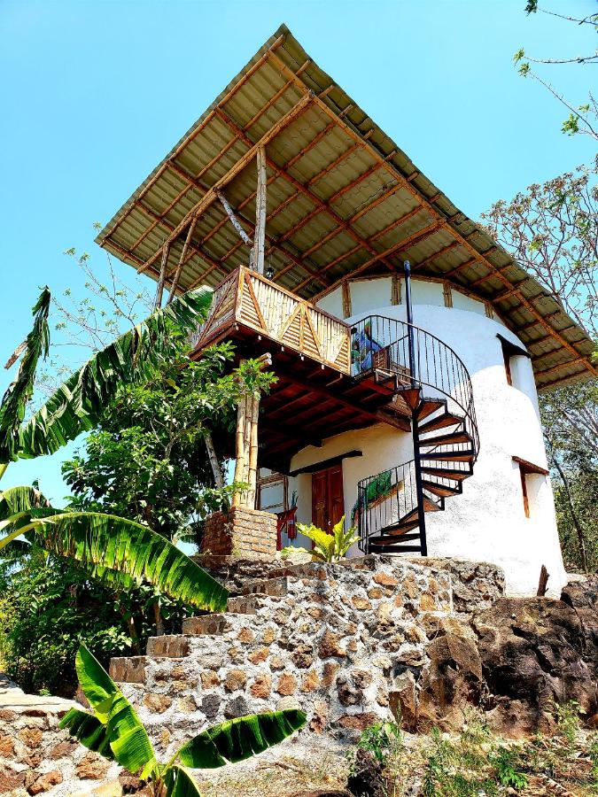 The Jungle Lodge - B&B