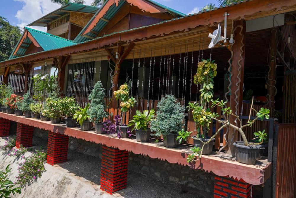 Brown Bamboo Guest house & jungle trekking orang-utan - Chambres d'hôtes Bukit Lewang