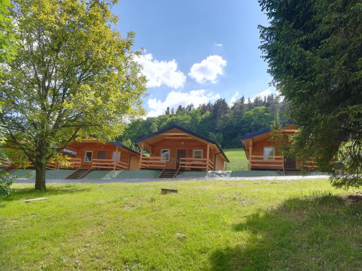 Domki Pod Wiązem Solina 20 - B&B Solina