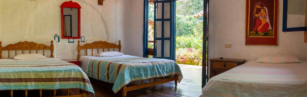 Single Bed in Mixed Dormitory Room