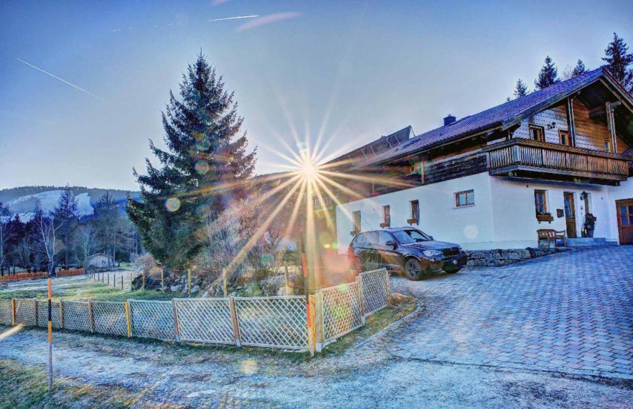 Ferienwohnung Petra - Ferienwohnung Bischofsmais