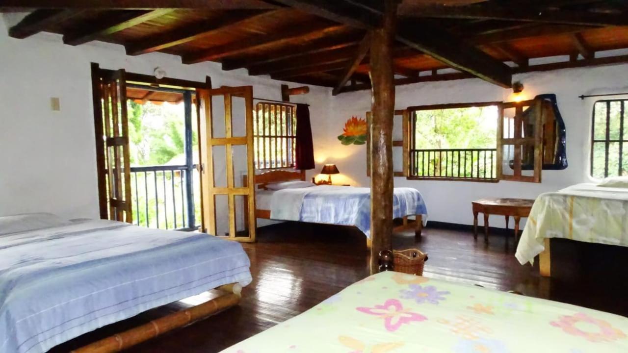 Single Bed in Female Dormitory Room