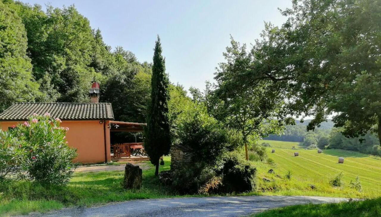 Agriturismo Fattoria La Prugnola - B&B