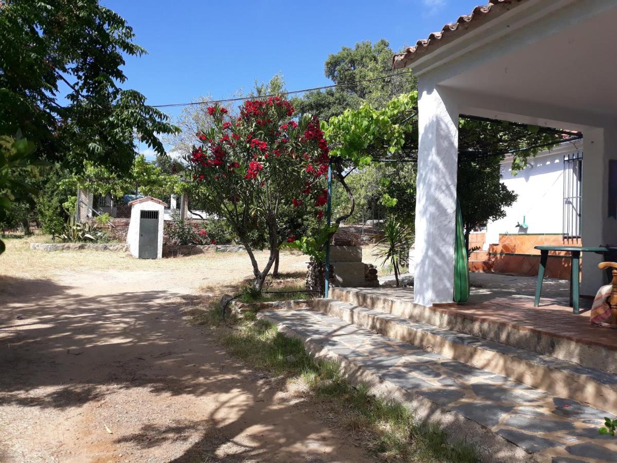 Alojamientos Cabezo del Gato - Bed and Breakfast