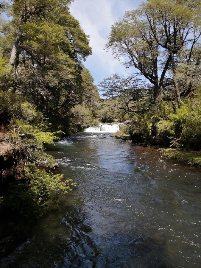 El Rincon de la Olguita - Ferienwohnung Curacautín