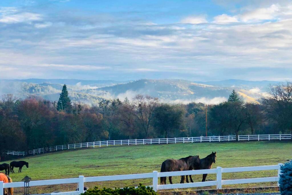 B&B Pilot Hill - Amazing Loft on Horse Ranch - Bed and Breakfast Pilot Hill