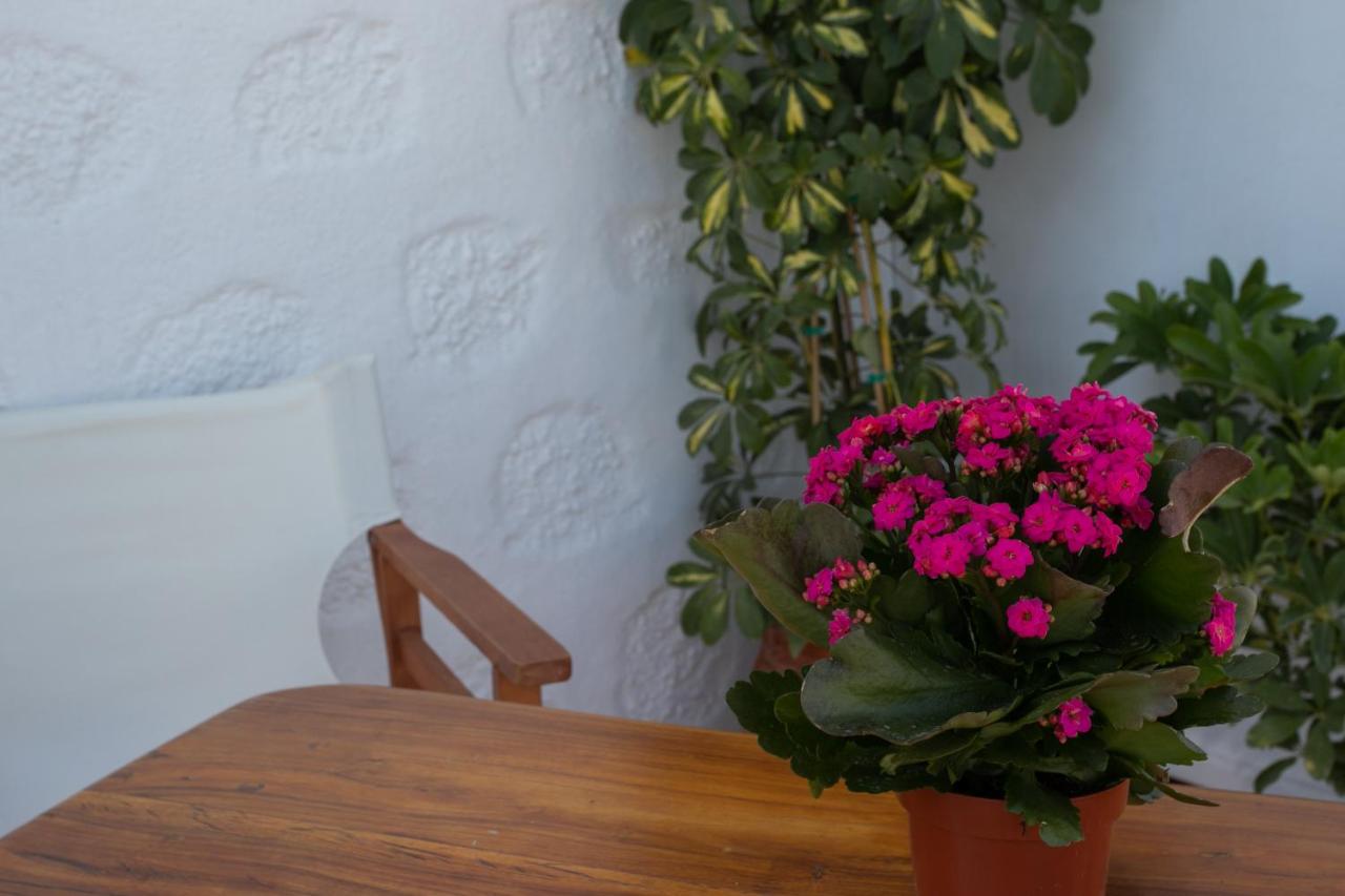 Pansion Katerina - B&B
