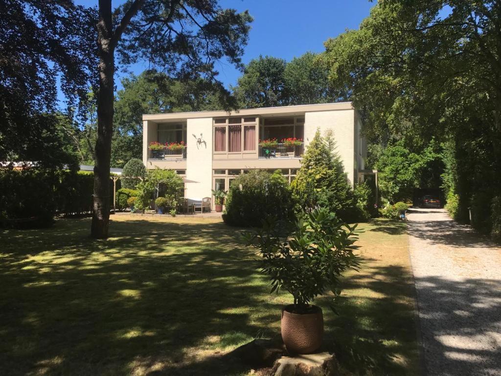 De Rode Beuk - Bed and Breakfast Wassenaar