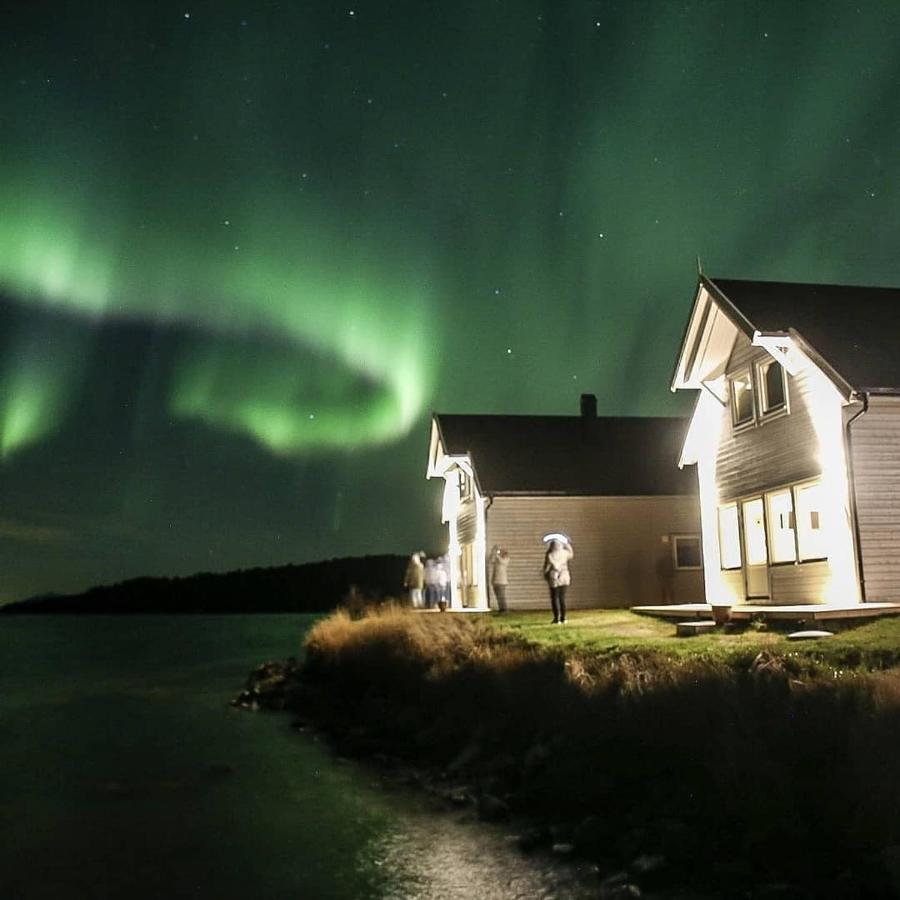 B&B Stonglandseidet - Senja arctic lodge - Bed and Breakfast Stonglandseidet