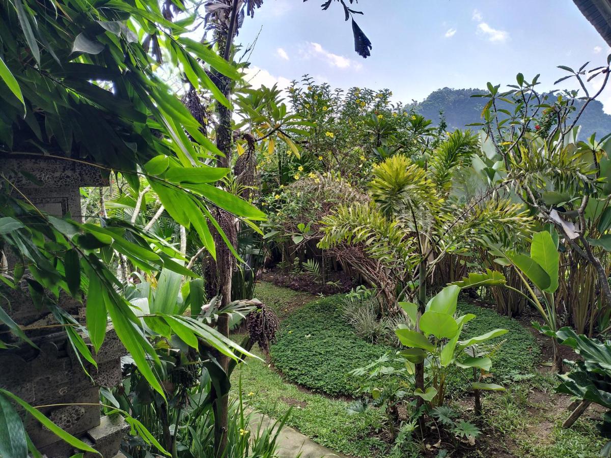 Camera Matrimoniale Budget 