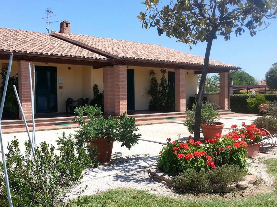 B&B Marina di Grosseto - Corte degli Angeli - Bed and Breakfast Marina di Grosseto