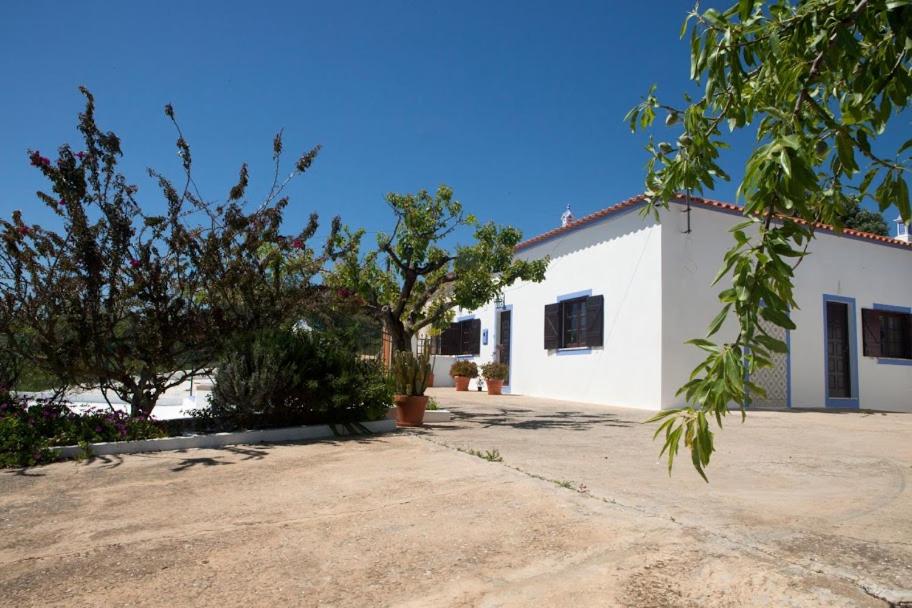 B&B Porches - Cozy Algarve Home with Vineyard View Near Beaches - Bed and Breakfast Porches