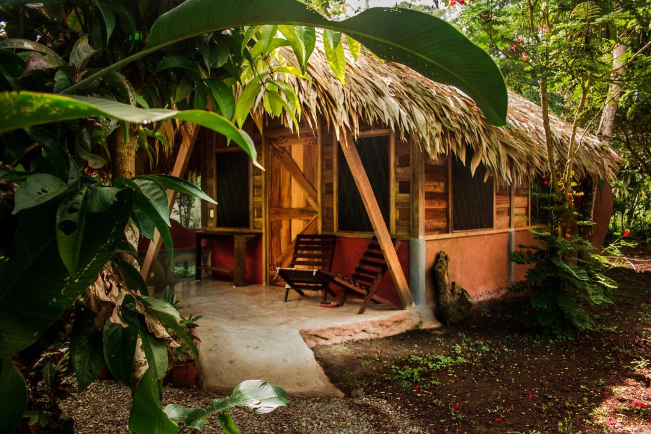 Bungalow - Vue sur Jardin