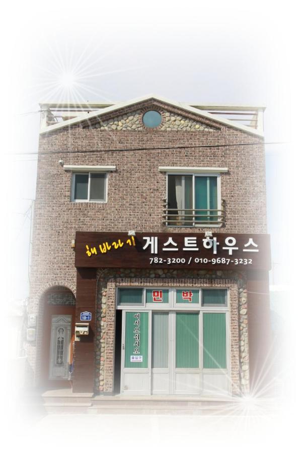 B&B Seogwipo - Sun Flower Minbak - Bed and Breakfast Seogwipo