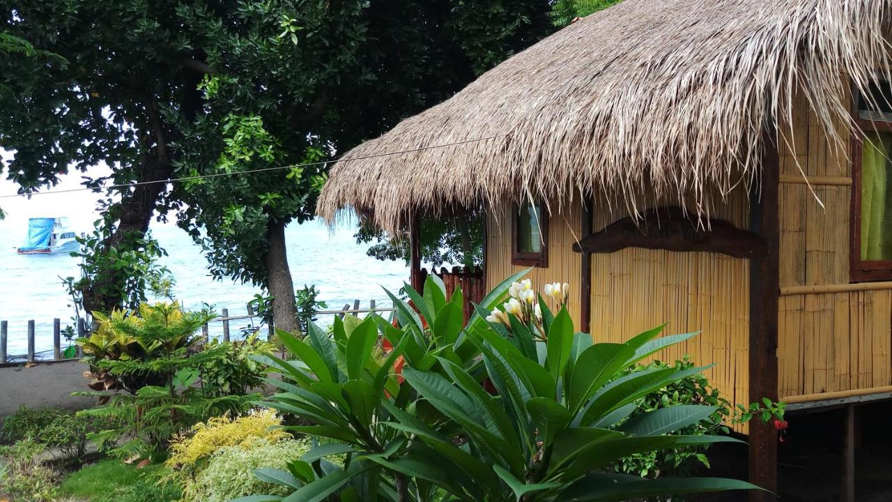 Lena house Flores - B&B
