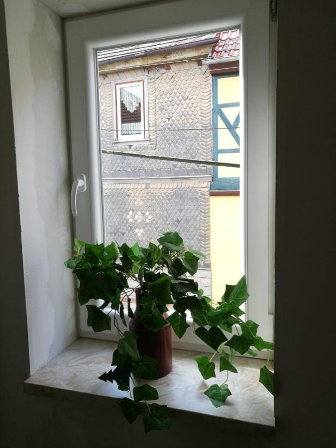 Hainich - B&B