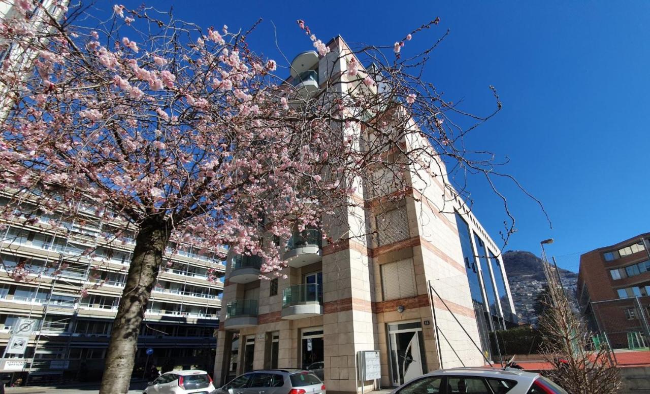 Il Parco 2 by Quokka 360 - cosy flat with terrace - B&B Lugano