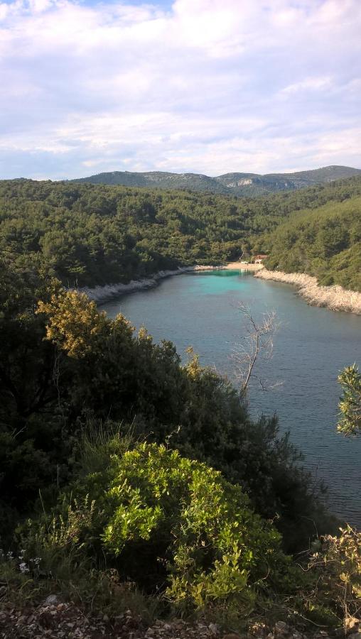 Planika Apartments 1 - Ferienwohnung Korčula