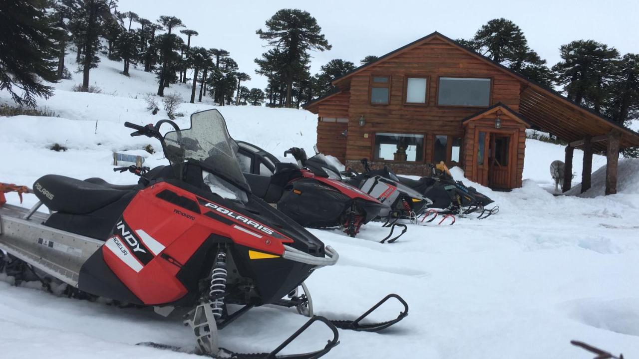 Lodge Tikilen Caviahue - B&B