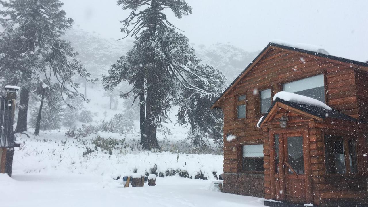 Superior Bungalow