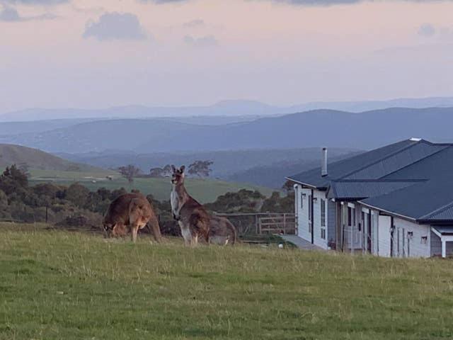 B&B Gisborne - Rooks Edge - Bed and Breakfast Gisborne