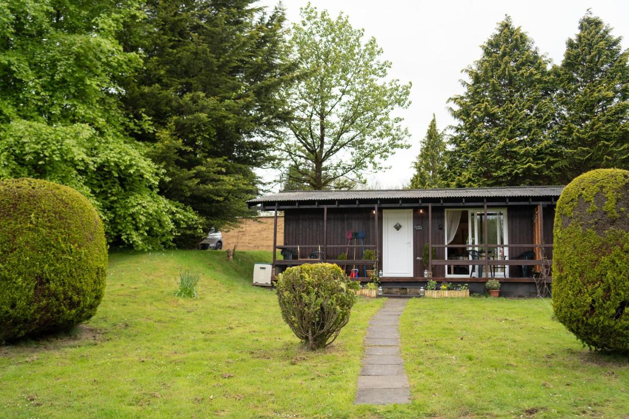 B&B Cenarth - Catkin Lodge set in a Beautiful Woodland Holiday Park - Bed and Breakfast Cenarth